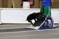 IMG_9712