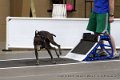 IMG_9714