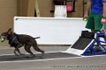 IMG_9715