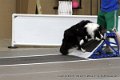 IMG_9717