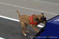 IMG_9767