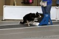IMG_9780