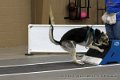 IMG_9786