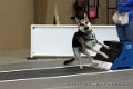 IMG_9788