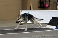 IMG_9790