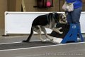 IMG_9802