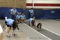 IMG_0009