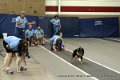 IMG_0010
