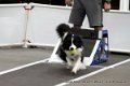 IMG_0036