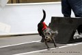 IMG_0046