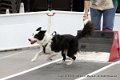 IMG_0052