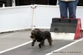 IMG_0055