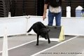 IMG_0084