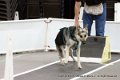 IMG_0087