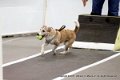 IMG_0089