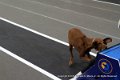 IMG_9835