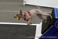 IMG_9854