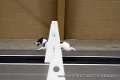 IMG_9867