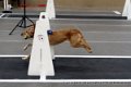 IMG_9879