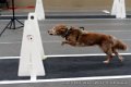 IMG_9881
