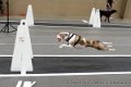 IMG_9917