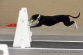 IMG_0131