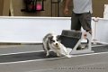 IMG_0140