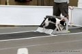 IMG_0144
