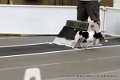 IMG_0145