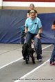 IMG_0190