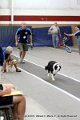 IMG_0230