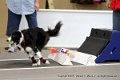 IMG_0250