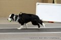 IMG_0262