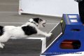 IMG_0284