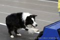 IMG_0304