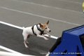 IMG_0320