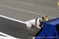 IMG_0321
