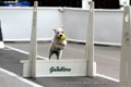 IMG_0366