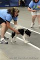 IMG_0391