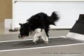 IMG_0408