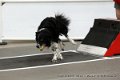 IMG_0412