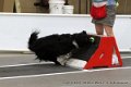IMG_0425