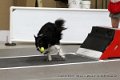 IMG_0429