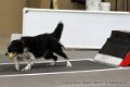 IMG_0430