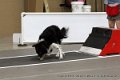 IMG_0442