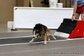 IMG_0447