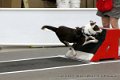 IMG_0448