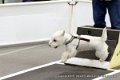 IMG_0465