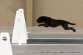 IMG_0471