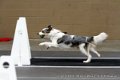 IMG_0513